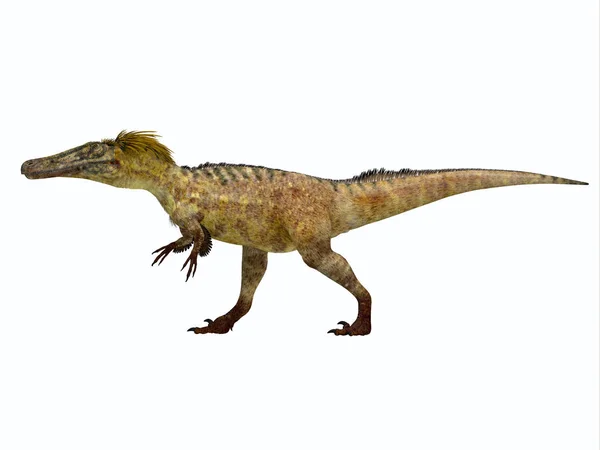Perfil lateral del dinosaurio Austroraptor —  Fotos de Stock