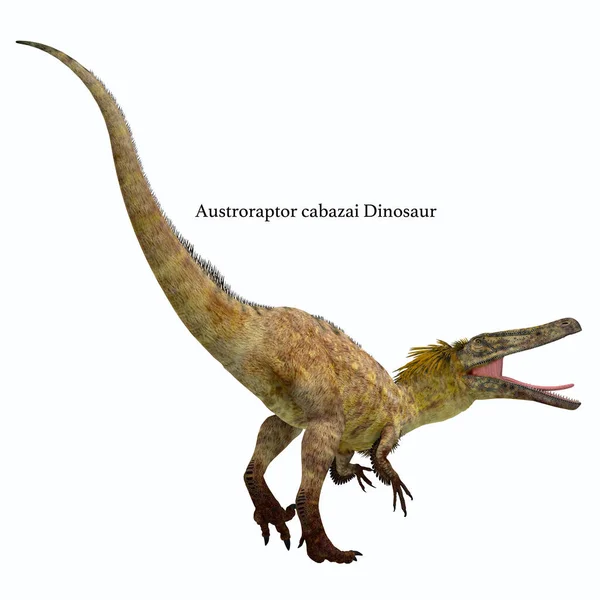 Austroraptor dinosaurie svans — Stockfoto