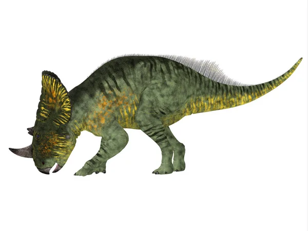 Brachyceratops 恐龙侧剖面 — 图库照片