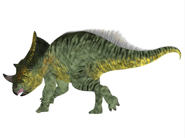 Brachyceratops Dinosaur Tail — Stock Photo, Image