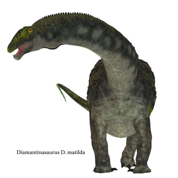 Diamantinasaurus dinozaur na białym — Zdjęcie stockowe