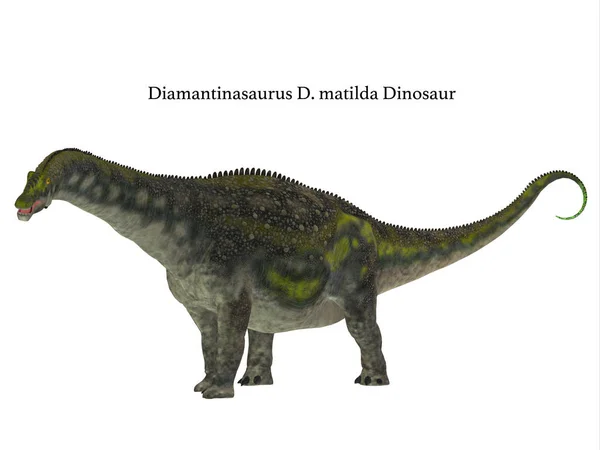 Perfil de Diamantinasaurus Dinosaur Side — Fotografia de Stock