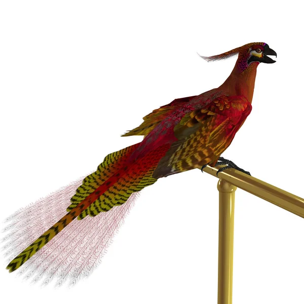 Phönix Vogel auf Barsch — Stockfoto