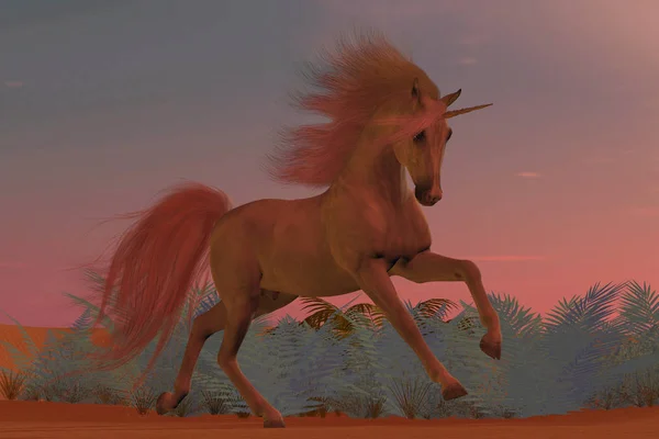 Sunset Arabian Unicornio —  Fotos de Stock