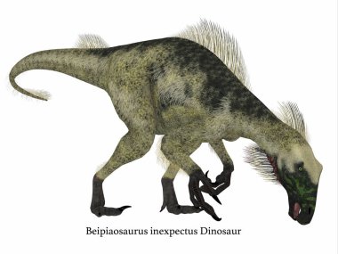 Beipiaosaurus dinozor yan profili