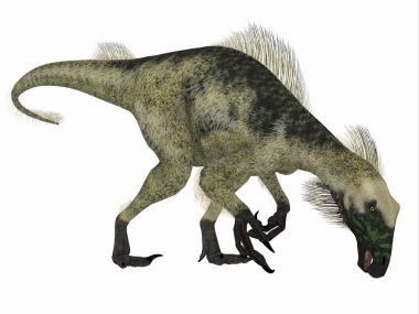 Beipiaosaurus dinozor yan profili
