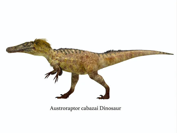 Perfil lateral do dinossauro Austroraptor — Fotografia de Stock