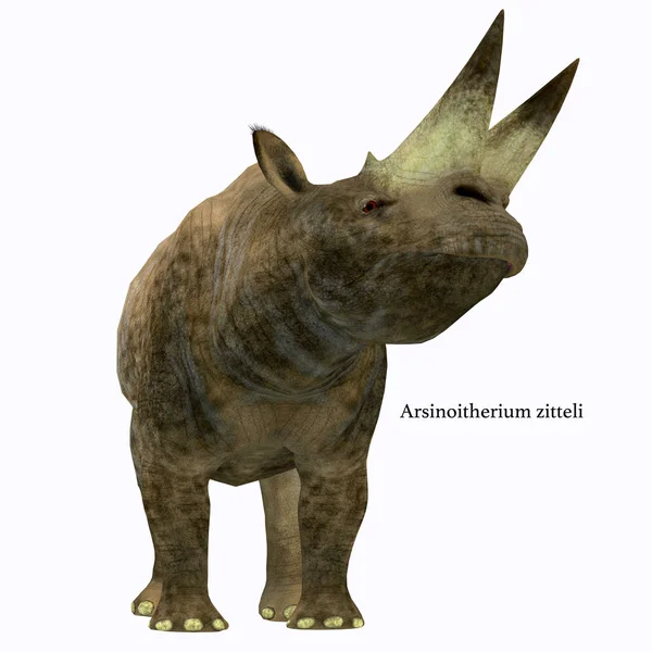 Arsinoitherium Mammal on White — Stock Photo, Image