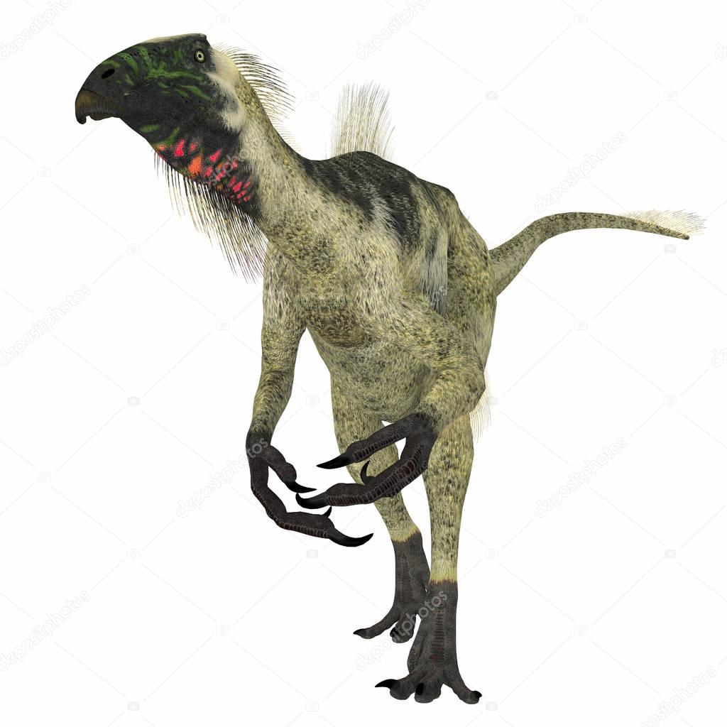 Beipiaosaurus Dinosaur on White