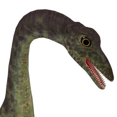 Anchisaurus dinozor kafası