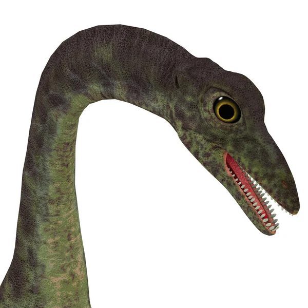 Cabeça de dinossauro Anchisaurus — Fotografia de Stock