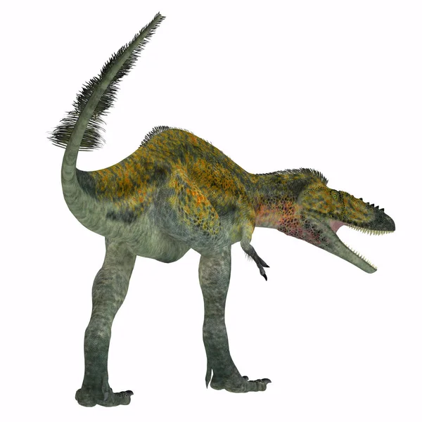 Cauda de dinossauro Alioramus — Fotografia de Stock