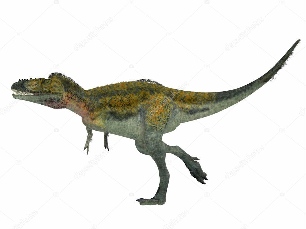 Alioramus Dinosaur Side Profile