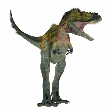 Alioramus dinozor beyaz