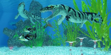 Dakosaurus deniz Habitat