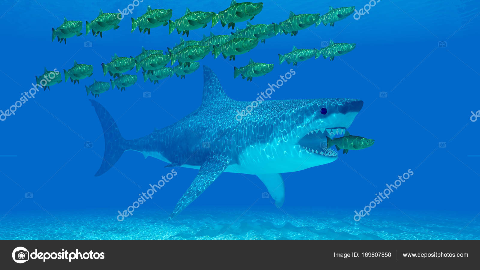 Megalodon Wallpaper Huge Megalodon Undersea Stock Photo C Coreyford 169807850