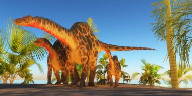 Anne Dicraeosaurus dinozor