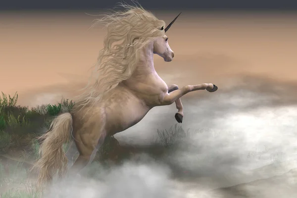 Misty Mountain Unicorn — Stock Photo, Image