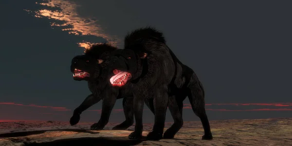 Legendary Two Hellhounds — Stock Photo, Image