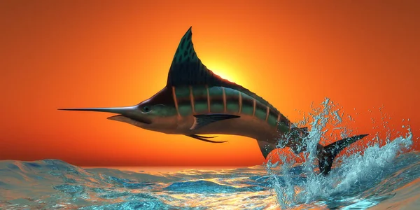 Atlantischer Blauer Marlin — Stockfoto