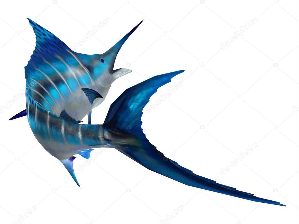 Marlin Fish Tail
