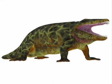 Eryops dinozor yan profili