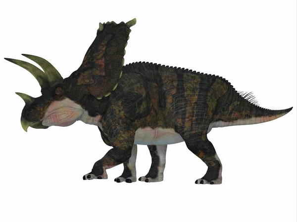 Perfil lateral do dinossauro Bravoceratops — Fotografia de Stock