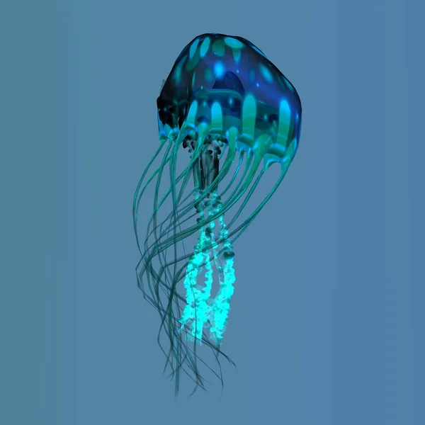 蓝绿水母 — 图库照片