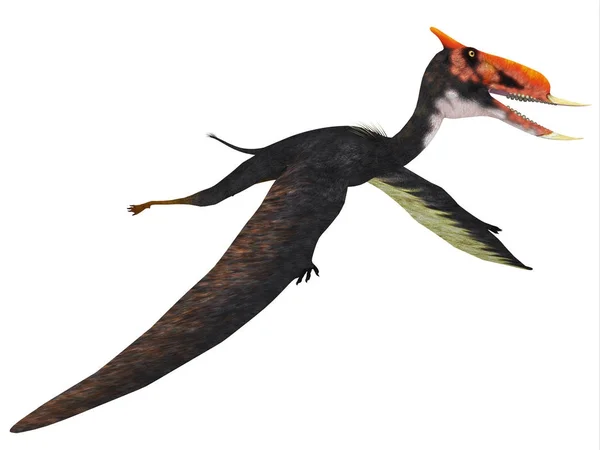 Dsungaripterus สัตว์เลื้อยคลานบิน — ภาพถ่ายสต็อก