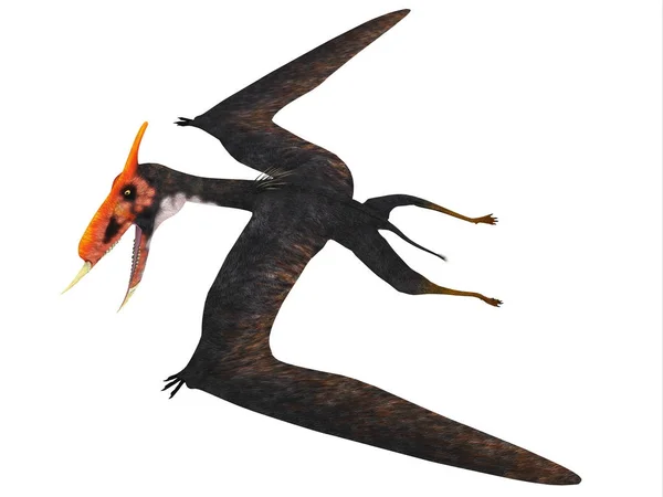 Dsungaripterus 爬行动物侧面剖面 — 图库照片