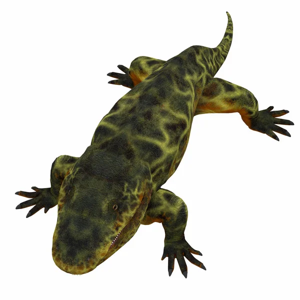 Eryops Dinosaur on White — Stock Photo, Image