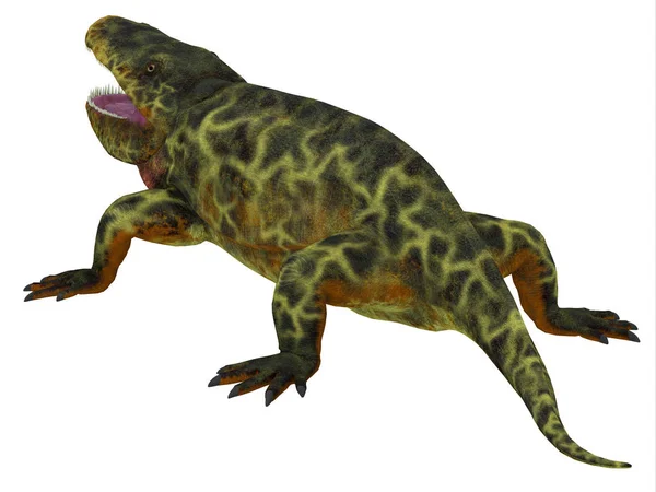 Eryops dinosaurie svans — Stockfoto