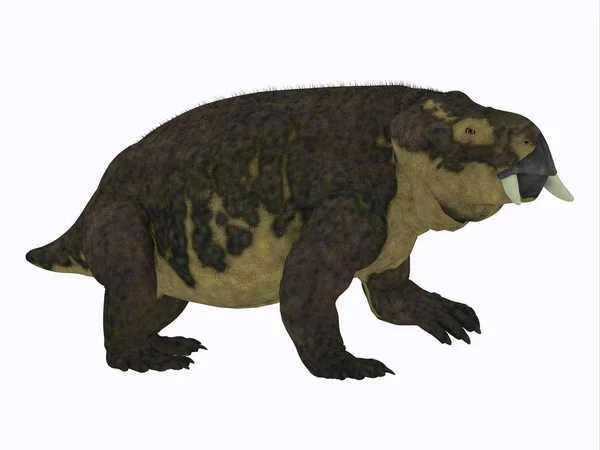 Profilo laterale dei dinosauri di Placerias — Foto Stock