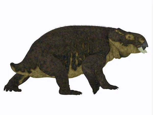 Placerias 공룡 꼬리 — 스톡 사진