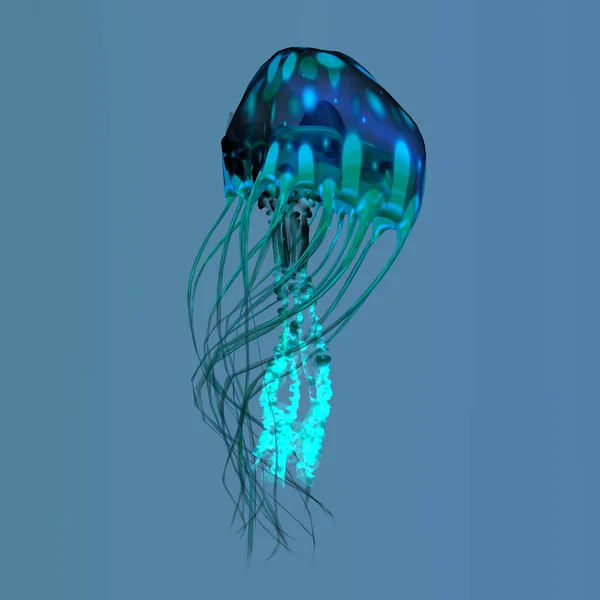 Wyszukuje Jellyfish Ocean Ryby Żerują Używa Jego Trujące Macki Podporządkować — Zdjęcie stockowe