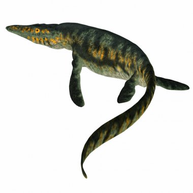 Tylosaurus Marine Reptile Tail clipart