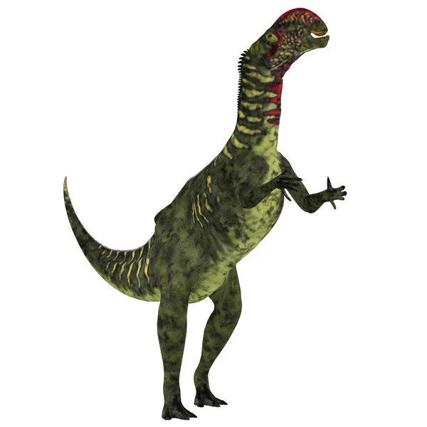 Altirhinus dinozaur na białym — Zdjęcie stockowe