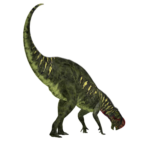 Az Altirhinus dinoszaurusz farok — Stock Fotó