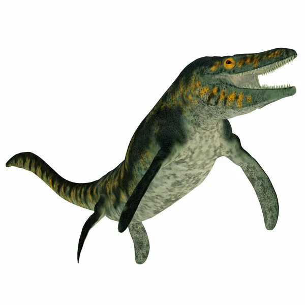 화이트에 Tylosaurus 해양 파충류 — 스톡 사진