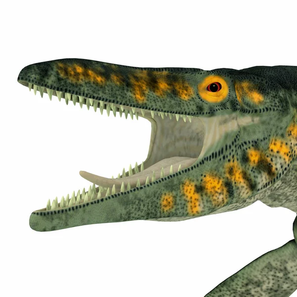 Tylosaurus marin reptil huvud — Stockfoto