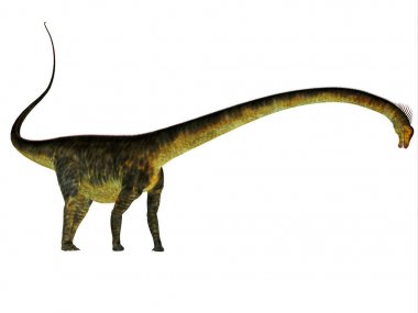 Barosaurus dinozor yan profili