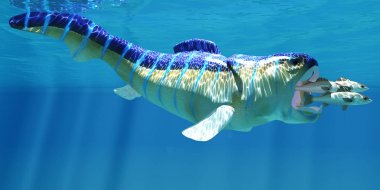 Deniz levrek Dunkleosteus balık yiyor