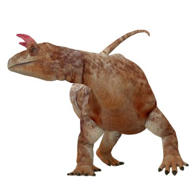 Shringasaurus dinozor beyaz