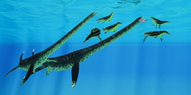Styxosaurus saldırılar dolikorinkops