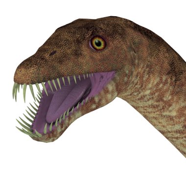 Tanystropheus dinozor kafası