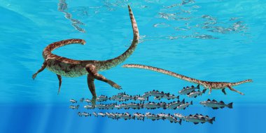 Tanystropheus ve Cod okul