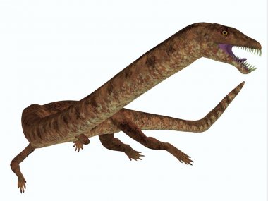Tanystropheus dinozor beyaz