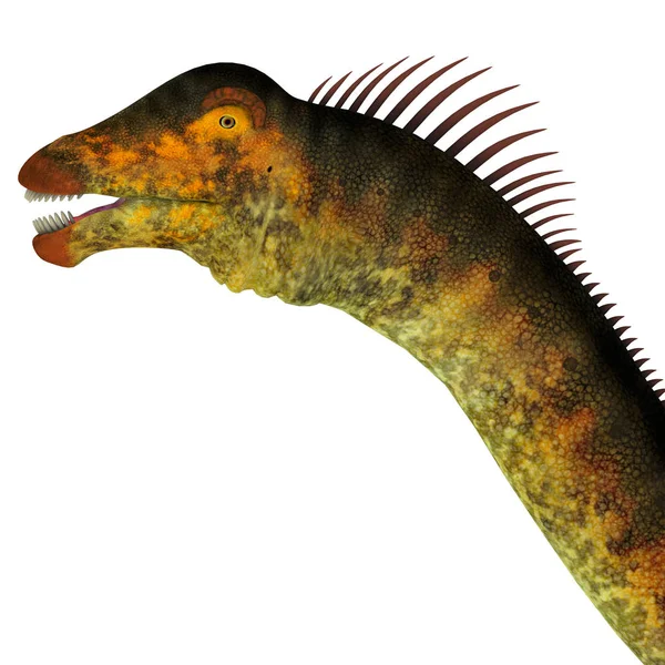 Barosaurus dinozaura głowy — Zdjęcie stockowe