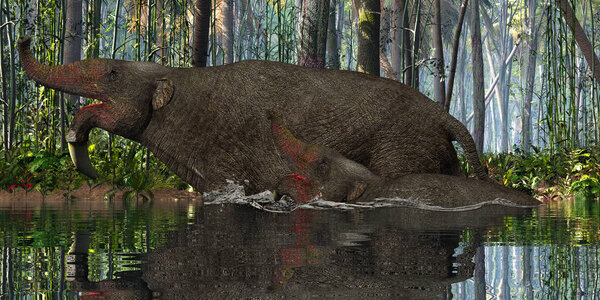 Deinotherium Mother and Calf