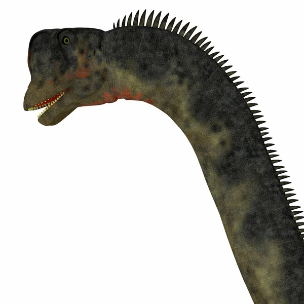 Europasaurus-Saurierkopf — Stockfoto